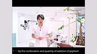 کامپوزیت توکویاما Tokuyama - Palfique Asteria بیورآکتور سه‌بعدی