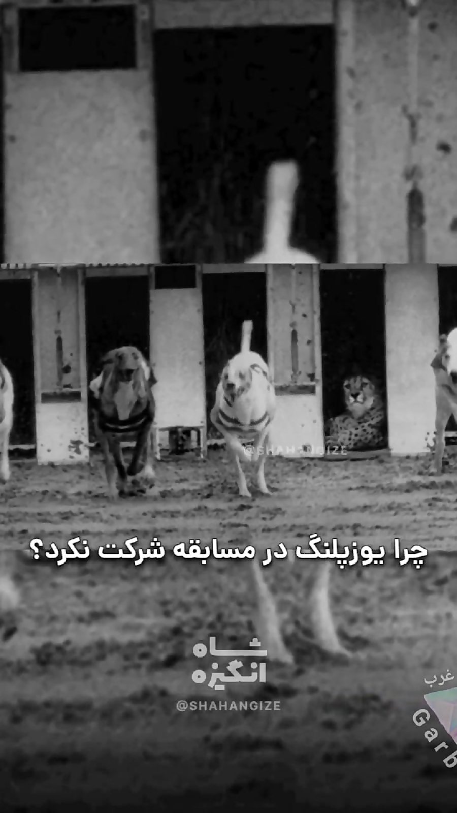 انگیزشی ( اعتماد به نفس)