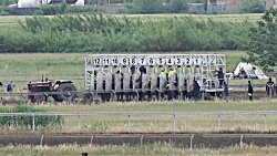 قهرمانی داز عارف  دور 6 هفته 2...