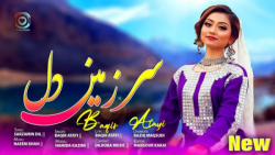 آهنگ عاشقانه هزارگی جدید / سرزمین دل / آهنگ هزارگی / موسیقی افغانی
