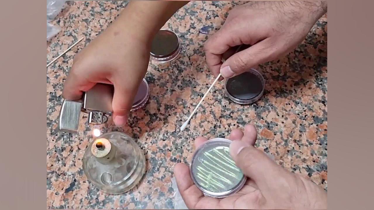 کشت باکتری دستگاه لیزر پالس فمتوثانیه