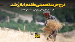 نرخ خرید تضمینی گندم ابلاغ شد نرخ خرید تضمینی گندم ابلاغ شد