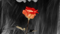 آهنگ غمگین احساسی  من به تو در...