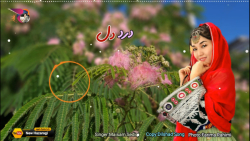 آهنگ جدید افغانی | باز خوانی آ...