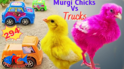 چالش حیوانات بامزه :: چالش جوج...