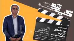 گپ شو/ چرا ربات های انسان نما شکست خوردند گپ شو/ چرا ربات های انسان نما شکست خوردند