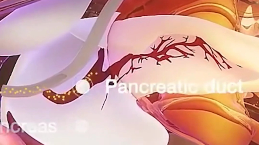 غده پینه‌آل دکتر شیرین شمس جراح و متخصص زنان و زایمان