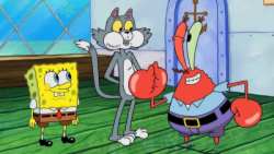 دانلود باب اسفنجی جدید  کارتون...