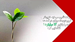 "تفارس" ۱۲ میلیارد تومان درآمد کسب کرد "تفارس" ۱۲ میلیارد تومان درآمد کسب کرد