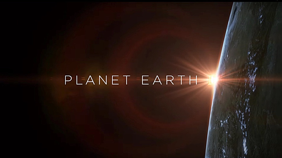 دانلود مستند سیاره زمین قسمت 2 دوبله فارسی Planet Earth II زمان3484ثانیه