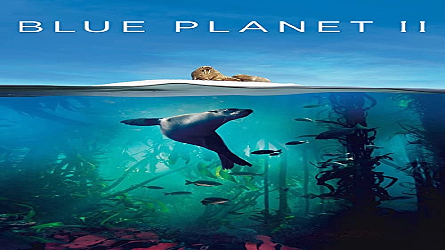 دانلود مستند سیاره زمین قسمت 3 دوبله فارسی Planet Earth II زمان3490ثانیه