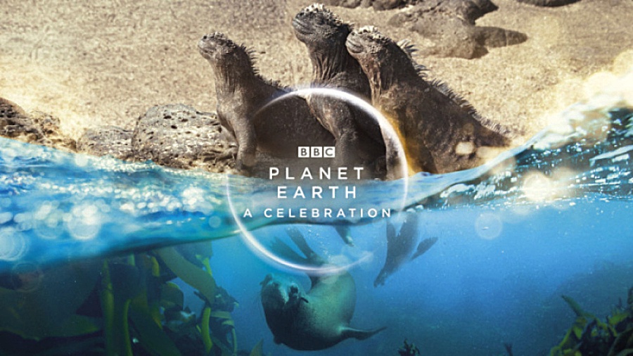 مستند سیاره زمین قسمت 4 دوبله فارسی Planet Earth II زمان3519ثانیه