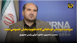 منصوری: سیاست دولت در خودکفایی کاغذ تقویت بخش خصوصی است منصوری: سیاست دولت در خودکفایی کاغذ تقویت بخش خصوصی است