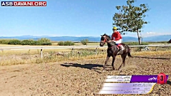 قهرمانی نیلامون  دور 4 هفته 2...