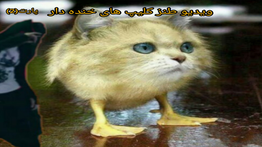 کلیپ/خنده/طنز/ویدیو طنز کلیپ های خنده دار پارت(2) از ادیتور سیگاری لذت ببرید:) آزمون آلدوستِرون پلاسما