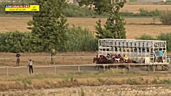 قهرمانی جوکوویچ  دور 4 هفته 5...