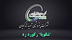 شرکت پتروشیمی شهید تندگویان در ۱۲ ماهه چقدر سود ساخت؟ شرکت پتروشیمی شهید تندگویان در ۱۲ ماهه چقدر سود ساخت؟