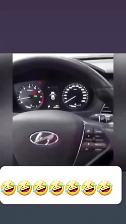 ما فیام میگیریم