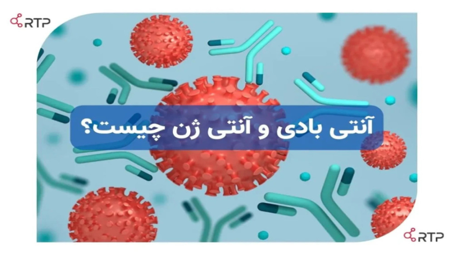 آنتی بادی و آنتی ژن چیست؟ و چه عملکردی در بدن ما دارند؟ بیماری آلبینیزم اوکولوتئوکوتانئوس