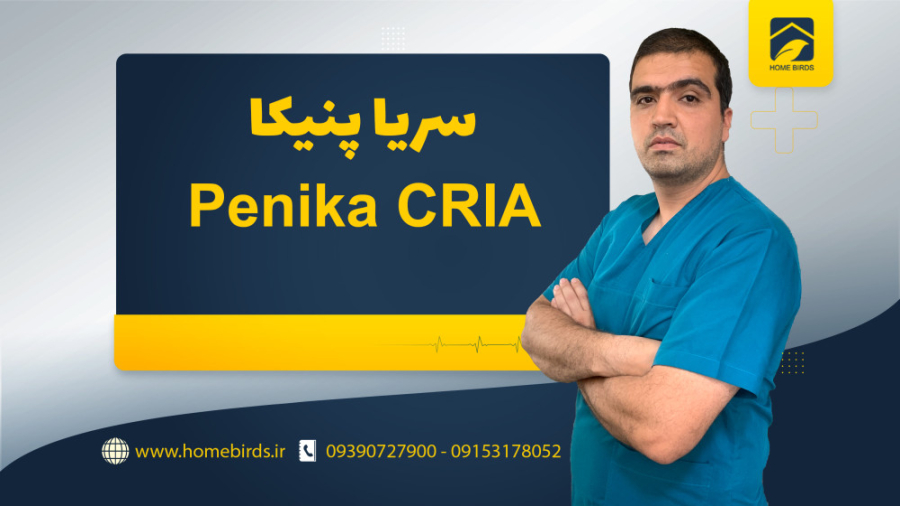سریا آنتی بیوتیک دار میکرونیدلینگ