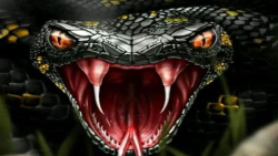 حیات وحش  نبرد گربه وحشی با ما...