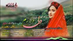 دلی دارم دلی دیوانه دارم || آه...