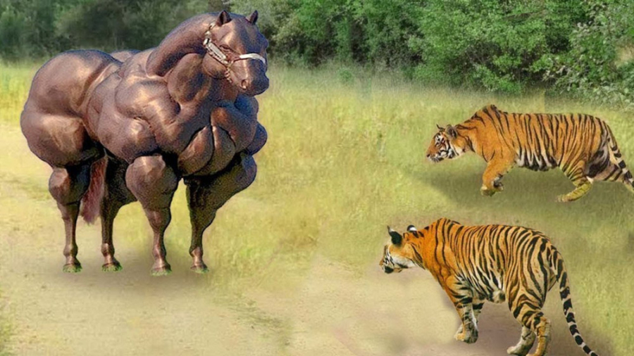 حمله حیوانات وحشی  حیات وحش 20...