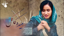 آهنگ جدید افغانی | موسیقی هزار...