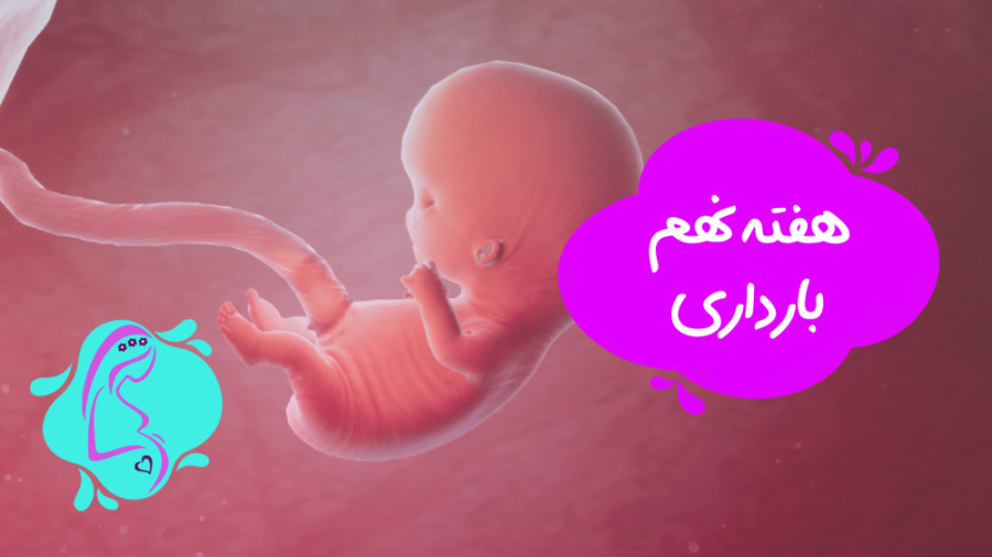 هفته ی نهم بارداری