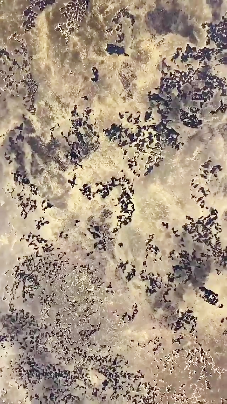 تاچ کالر در پتینه مدرن