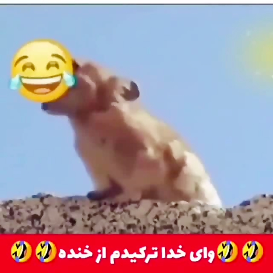 سکینه بیا چایی دم کن خخخ