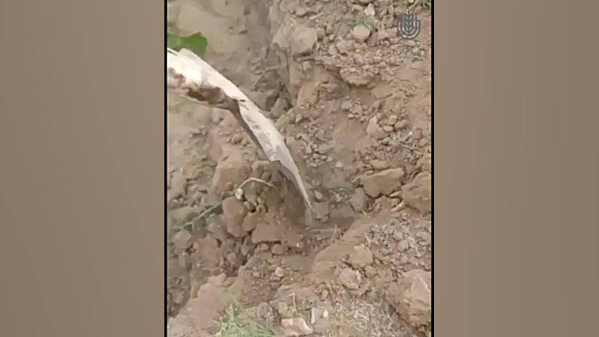 کشت هندوانه در ریشه خارشتر زمان61ثانیه