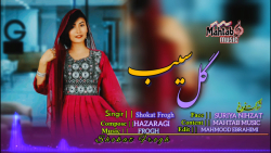 آهنگ افغانی گل سیب | موسیقی جد...