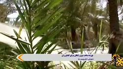 19 ساعت برق رایگان برای کشاورزان 19 ساعت برق رایگان برای کشاورزان