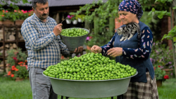 برنامه زندگی روستایی - ...