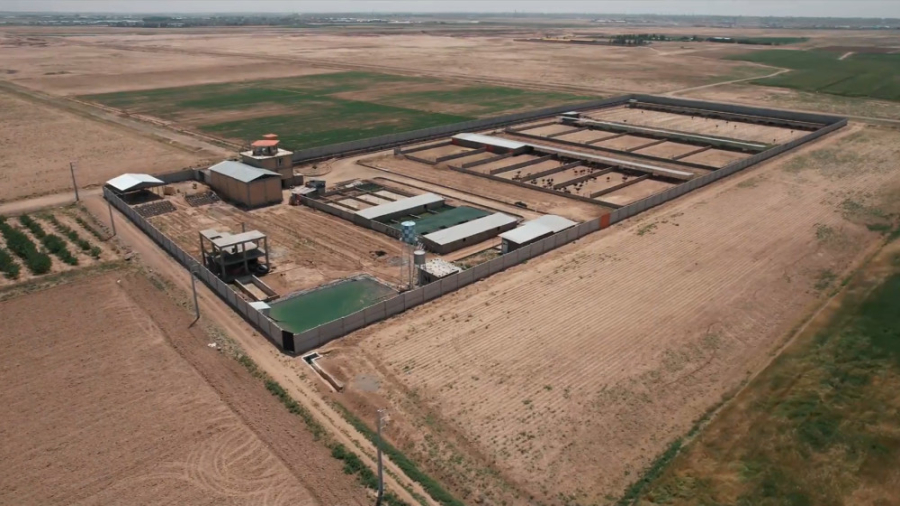 کشت و صنعت شترمرغ ماهور زمان135ثانیه