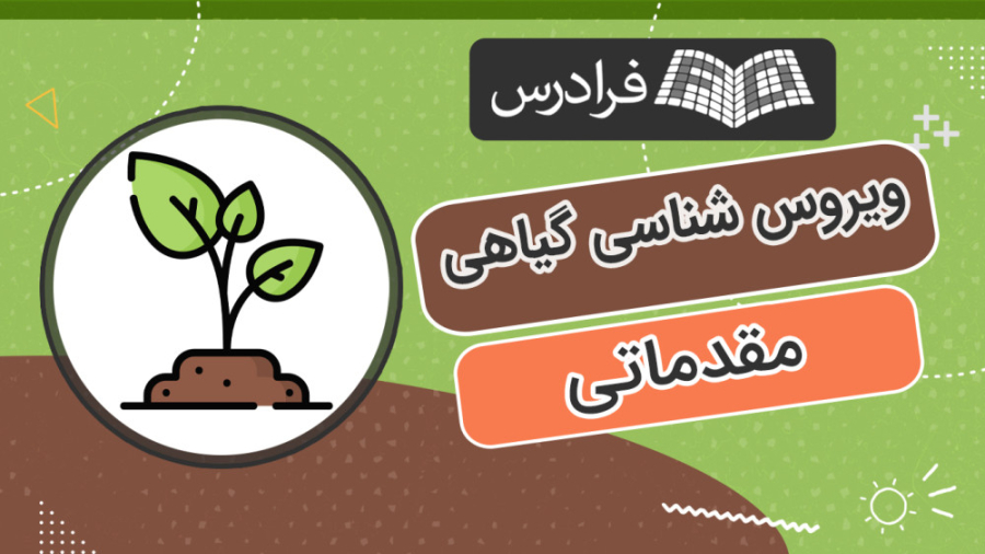 آموزش ویروس شناسی گیاهی مقدماتی سندرم چیلبلینز