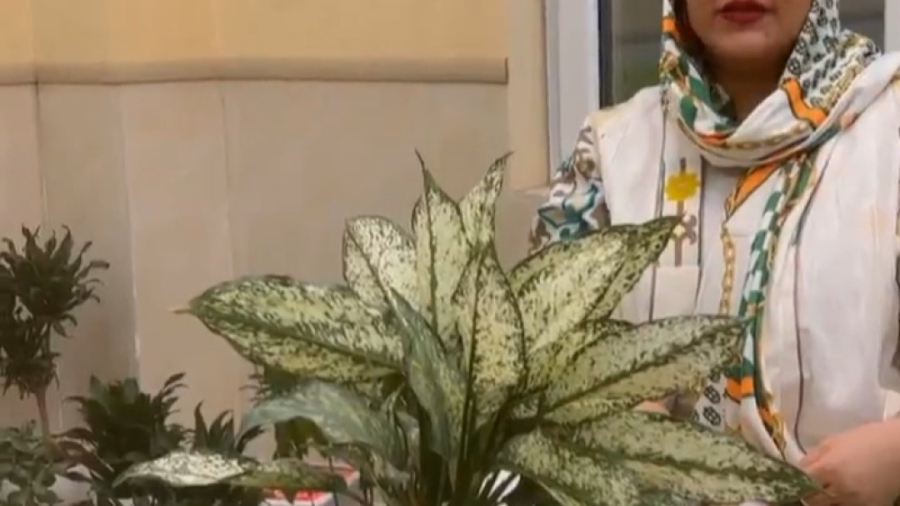 توضیحات دکتر فرحناز زینعلی در مورد جوانسازی صورت و انواع روش ها دکتر فرحناز زینعلی - متخصص پوست، مو، زیبایی زنجان