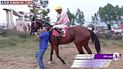 قهرمانی وینگو  دور 6 هفته 3  ی...