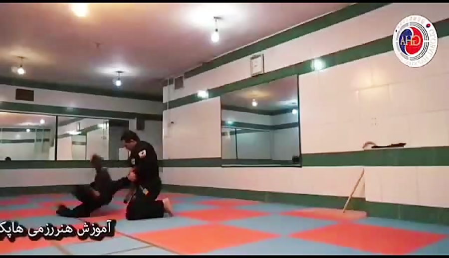 هاپکیدوw.h.f دفاع شخصی