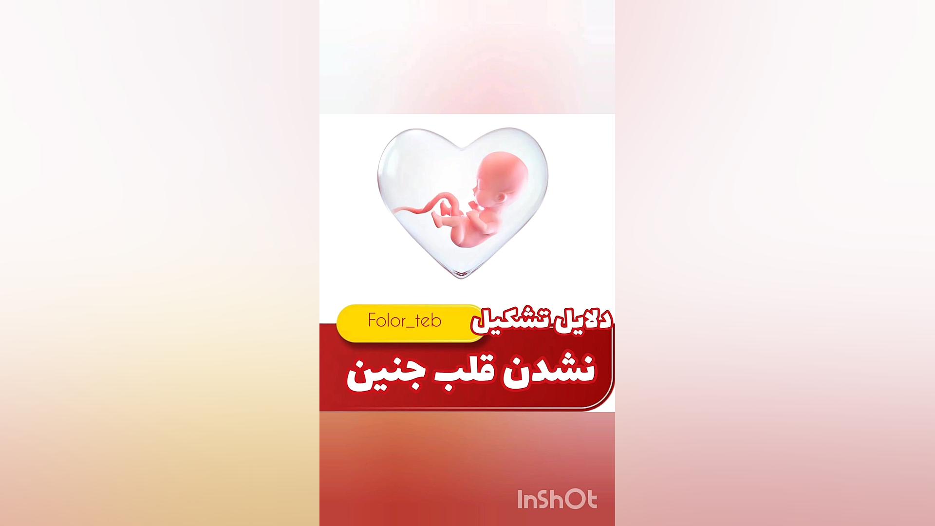 علت تشکیل نشدن قلب جنین سیده سارا موسوی عربانی