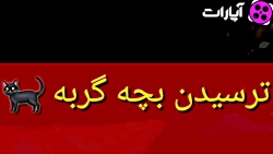 ترسیدن خندار بچه گربه