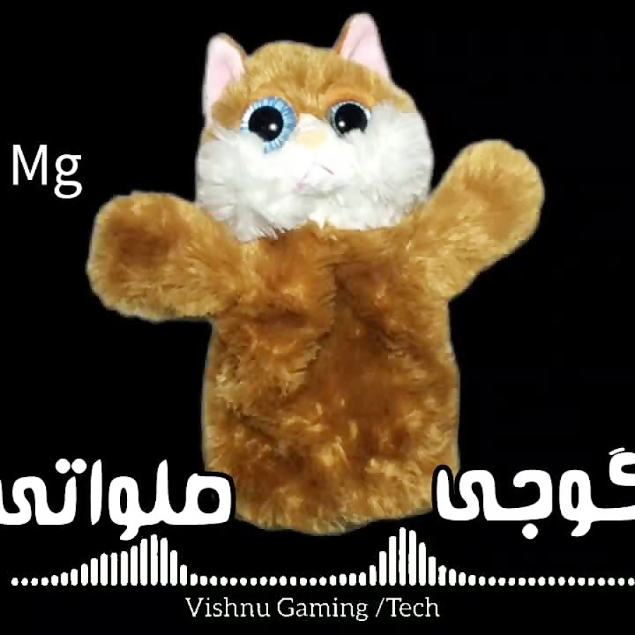 موزیک گوجی صلواتی هستم/من گنگم تو گنگی /گوجی گنگ