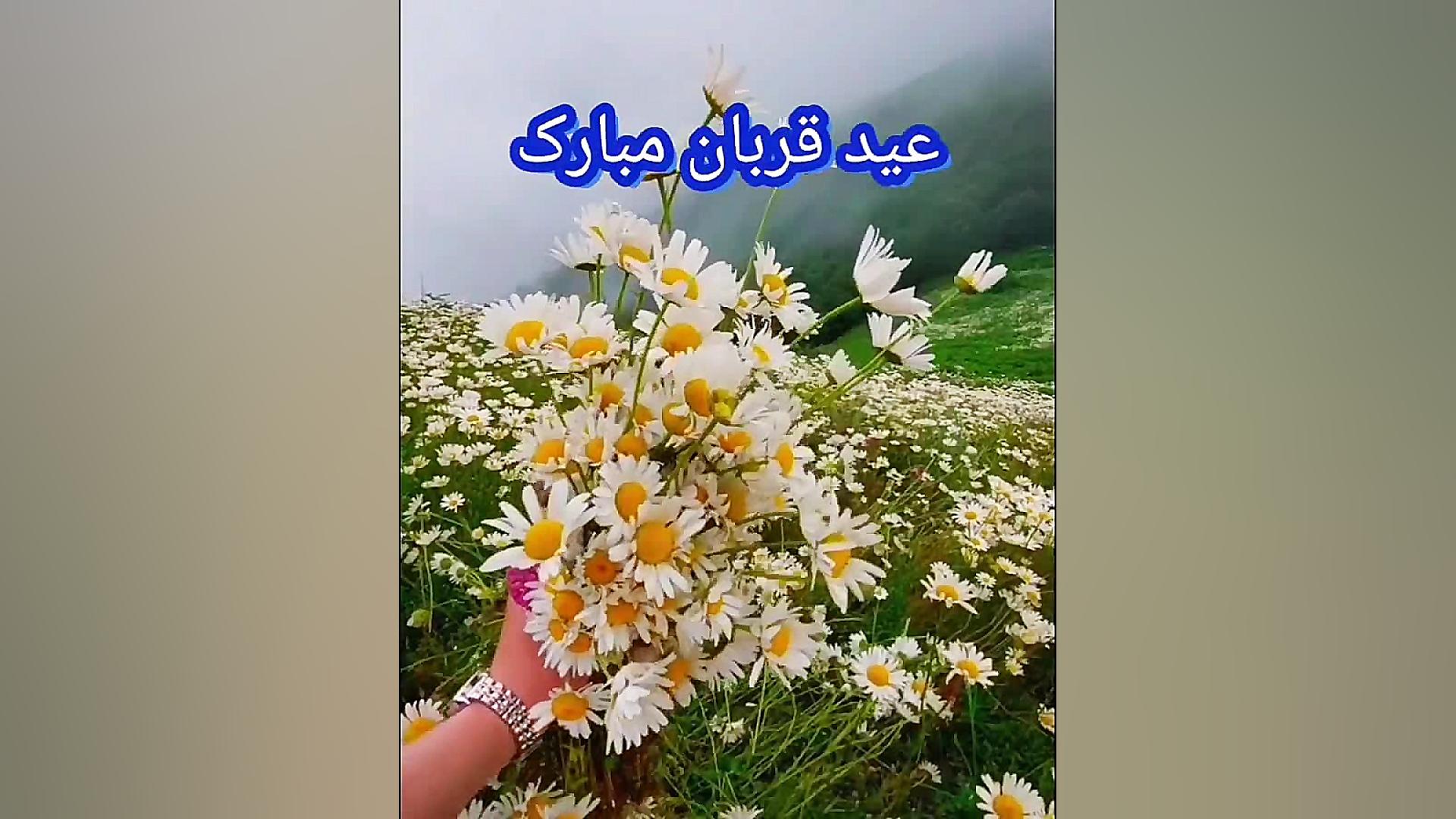 عید قربان مبارک زهرا علیزاده