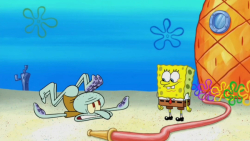 باب اسفنجی  باب اسفنجی جدید  ک...