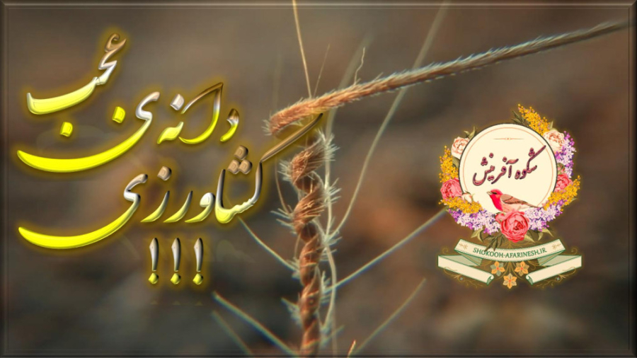 عجب دانه‌ی کشاورزی! – شگفتانه‌ای از آفرینش