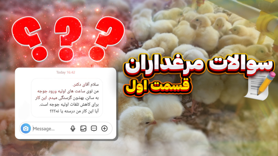 پاسخ به سوالات مرغداران(قسمت اول) دکتر محمد مهدی عبدالهی (دامپزشک)