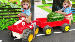 برنامه کودک بچه میمون | برداشت...