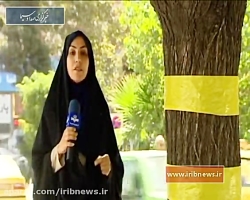 میهمانانی که کام پایتخت نشینان...