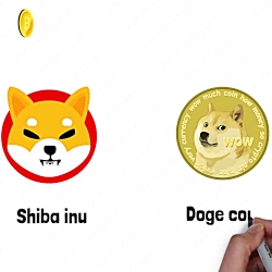 ارز , دیجیتال , شیبا , اینو , معرفی , مختصر , رمزارز , Shiba , inu , شت , کوین , محبوب , بازار , کاربران , کریپتوکارنسی , لقب , دوج , کیلر , قاتل , تماشای , کامل , ویدئو , مقاله , > , مجله , تخصصی , پارسیان , کریپتو , لینک , کانال , شبکه , اجتماعی , مراجعه , https: , parsiancrypto , com , crypto , crypto-jurnal , what-is-shiba